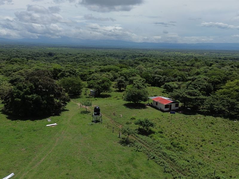86 Acre Ranch with Water Bagaces : Bagaces : Costa Rica