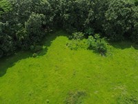 27.5 Acres in Banano Limon : Limon : Costa Rica