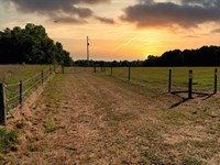 Sandy Creek Farm : Madison : Morgan County : Georgia