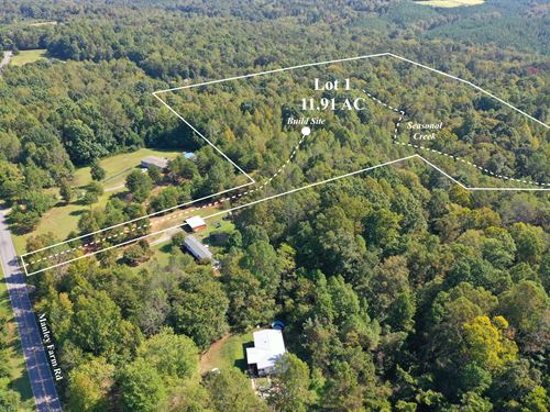 11.91 Acres of Buildable Land : Reidsville : Rockingham County : North Carolina