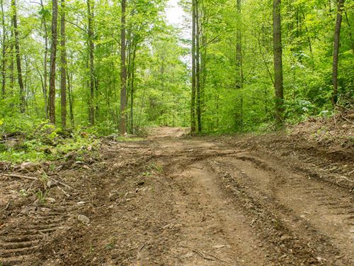 Own Today, $999 Down : Mount Vernon : Rockcastle County : Kentucky