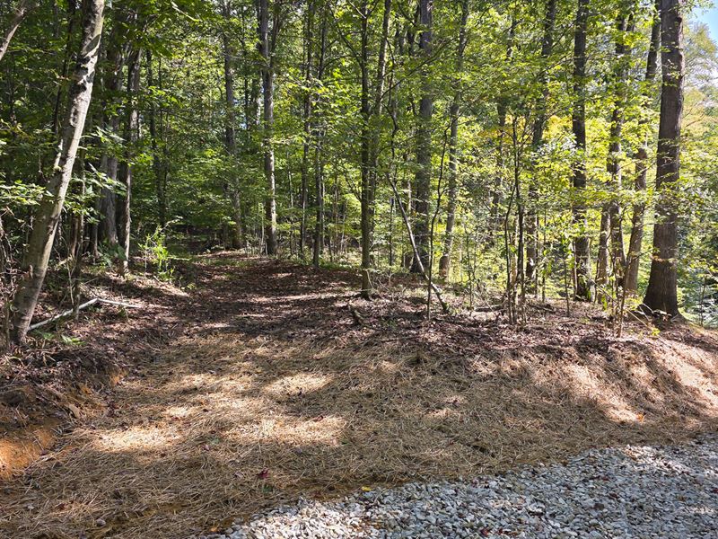 Tract D, Hocking Hideout on Monday : New Straitsville : Hocking County : Ohio