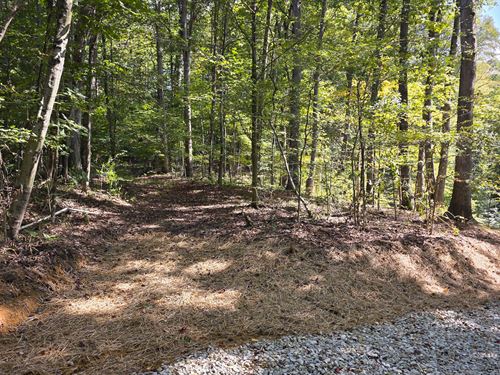 Tract D, Hocking Hideout on Monday : New Straitsville : Hocking County : Ohio