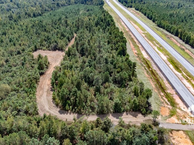 28 Ac Homesite, Hunting and Timber : Cuthbert : Randolph County : Georgia