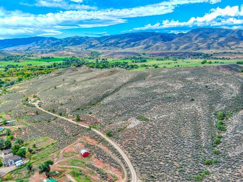 3501 Raptor Ridge Lane : Laporte : Larimer County : Colorado