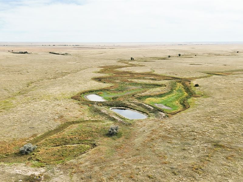Whelden's Wetzel Creek Ranch : Deer Trail : Adams County : Colorado