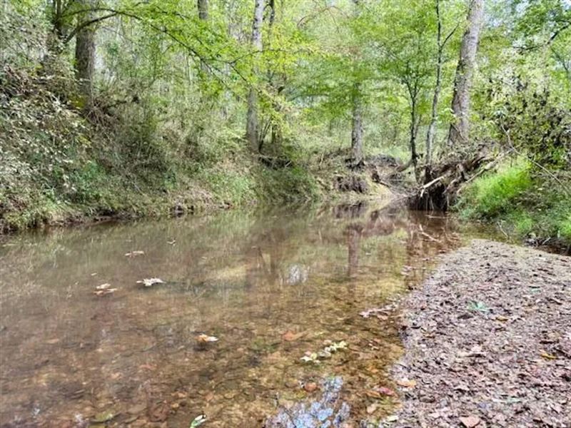 Mississippi Land for Sale with A Cr : Louisville : Winston County : Mississippi