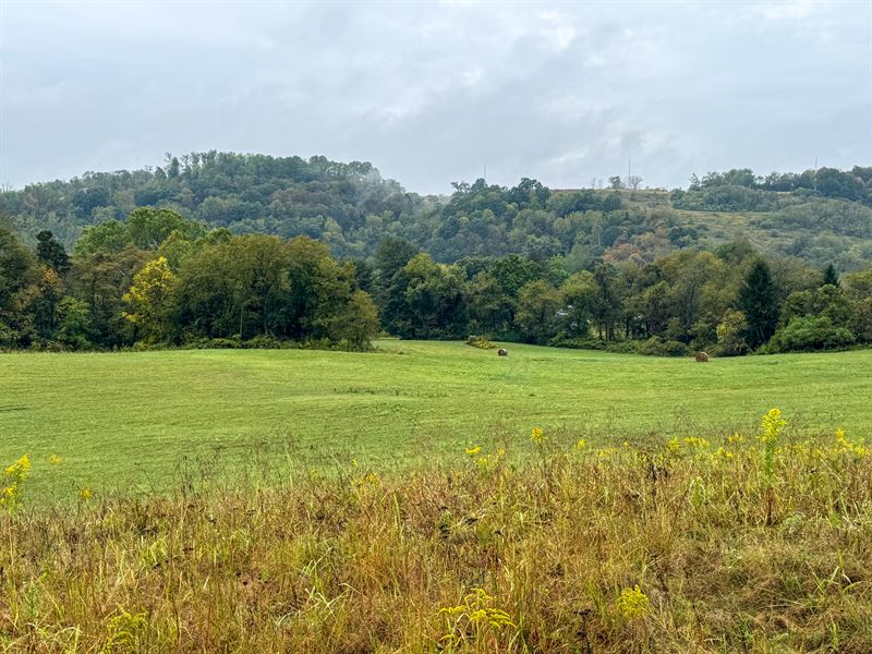 County Rd 11 Lot 2 24 : Dillonvale : Jefferson County : Ohio