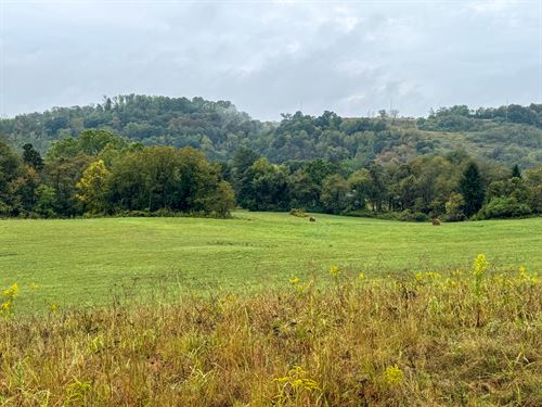 County Rd 11 Lot 2 24 : Dillonvale : Jefferson County : Ohio