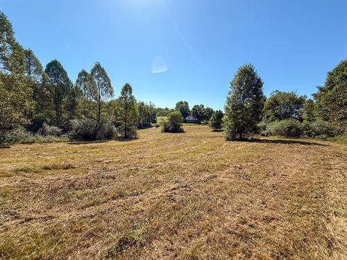 Layman Rd Lot 1 42 : Vincent : Washington County : Ohio