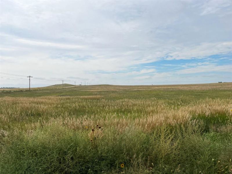 160 Acres, Cheyenne County Crp : Potter : Cheyenne County : Nebraska