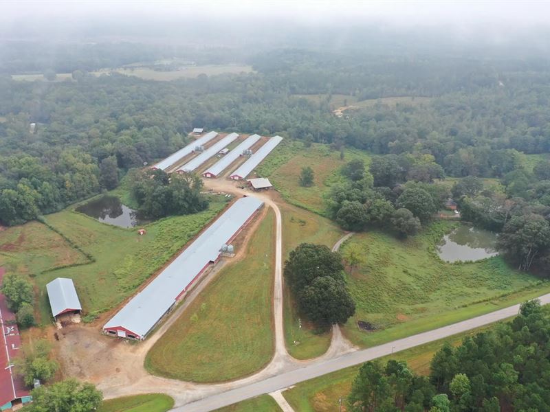 New Price, Corley Broiler Farm : Franklin : Heard County : Georgia