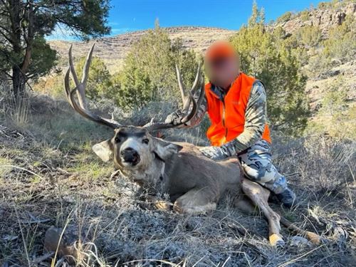 3D Mountain Ranch : Maybell : Moffat County : Colorado