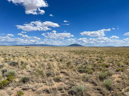 Awesome 5.15-Acre Costilla County : San Luis : Costilla County : Colorado