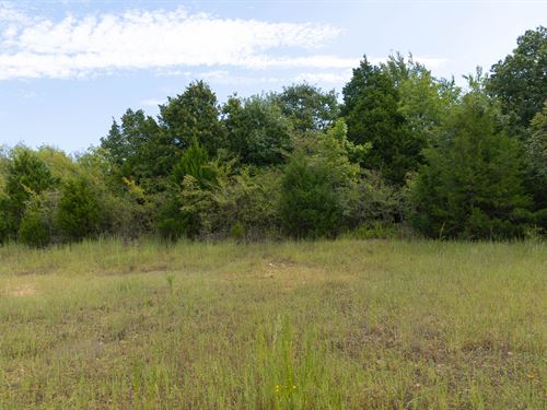 $999 Down Homestead Land : Canadian : Pittsburg County : Oklahoma