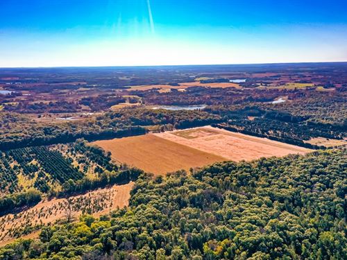 151 Acres Polk County : Saint Croix Falls : Polk County : Wisconsin