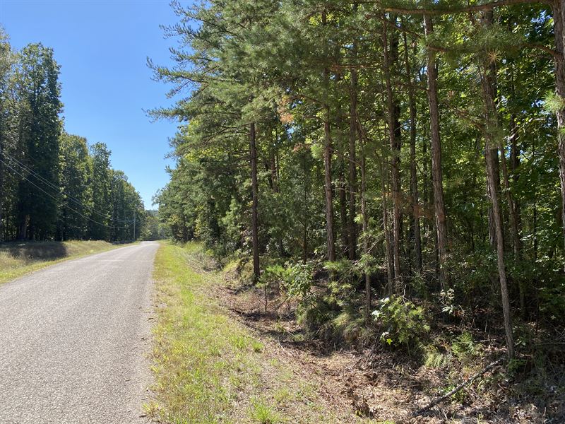 7.5 Acres Wooded Land in Tennessee : Savannah : Hardin County : Tennessee