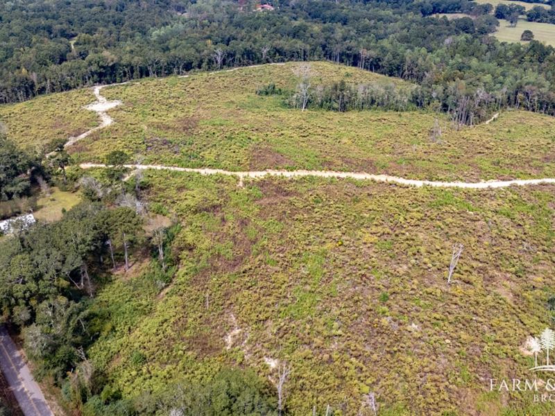 County Road 206 West : Jack : Coffee County : Alabama