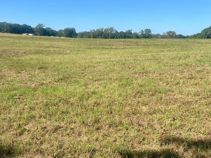 24-059 Greenville Highway Mini Farm : Luverne : Crenshaw County : Alabama