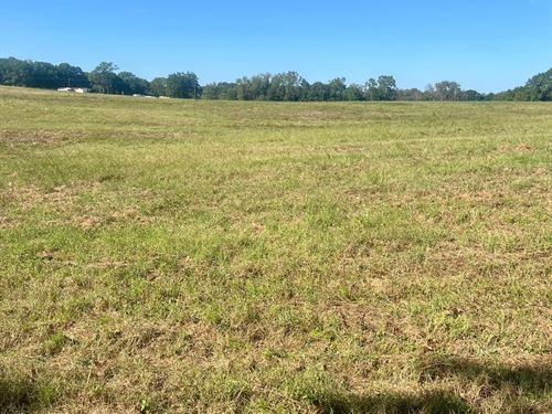 24-059 Greenville Highway Mini Farm : Luverne : Crenshaw County : Alabama