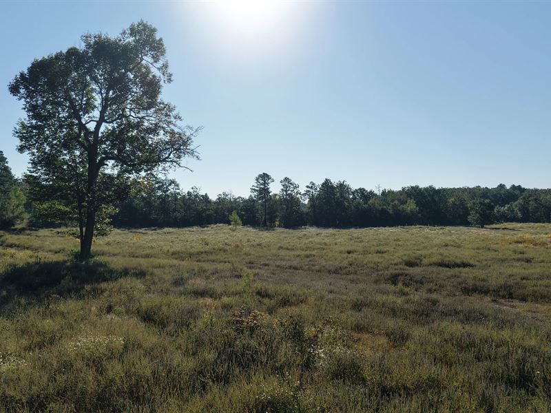 22.5 Acres in Polk County, AR : Mena : Polk County : Arkansas