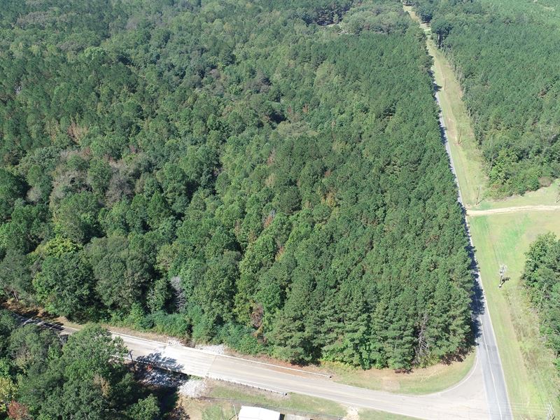 68.6 Acres in Winston County, MS : Louisville : Winston County : Mississippi