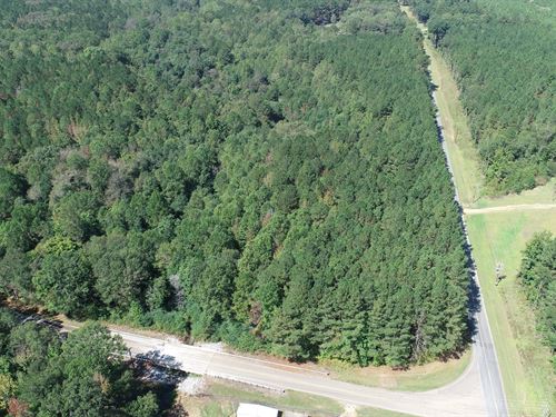 68.6 Acres in Winston County, MS : Louisville : Winston County : Mississippi