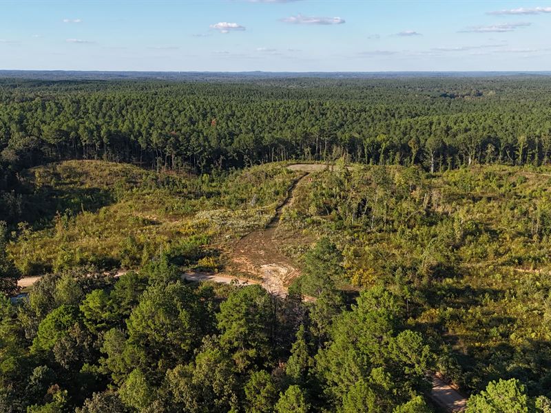 160.6 Acres in Lafayette/Yalobusha : Water Valley : Lafayette County : Mississippi