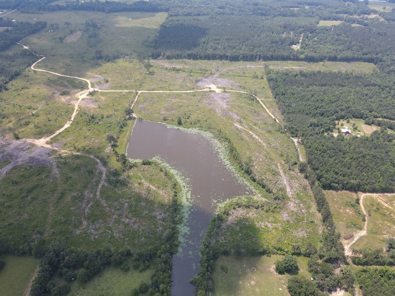 52 Acres in Scott County, MS : Forest : Scott County : Mississippi