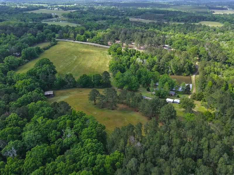 A Home on 53.57 Acres in Covington : Andalusia : Covington County : Alabama