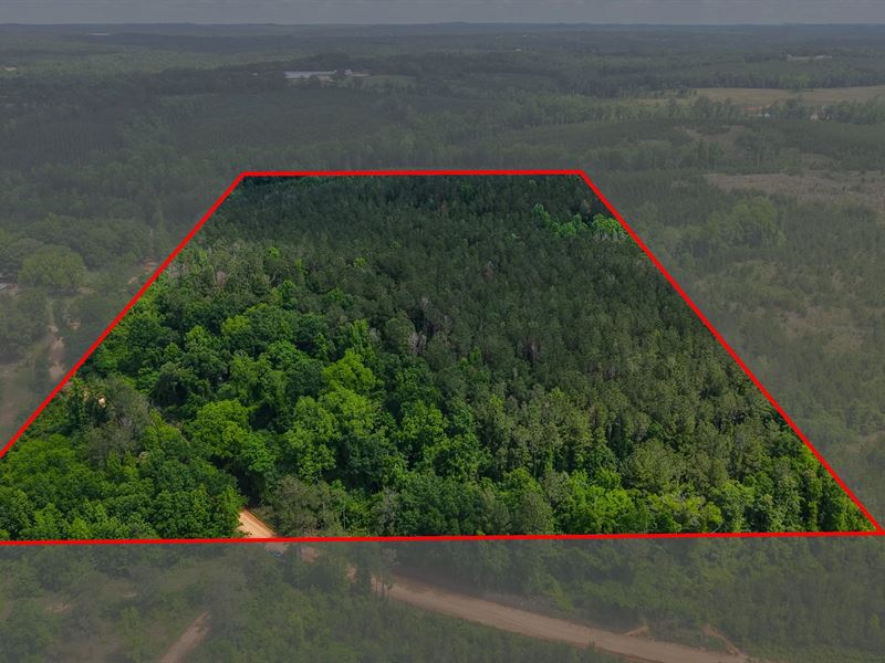 24.04 Acres in Crenshaw County, AL : Highland Home : Crenshaw County : Alabama