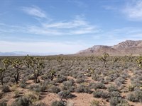 5 Acres Bordering 1,280 Acres : Meadview : Mohave County : Arizona