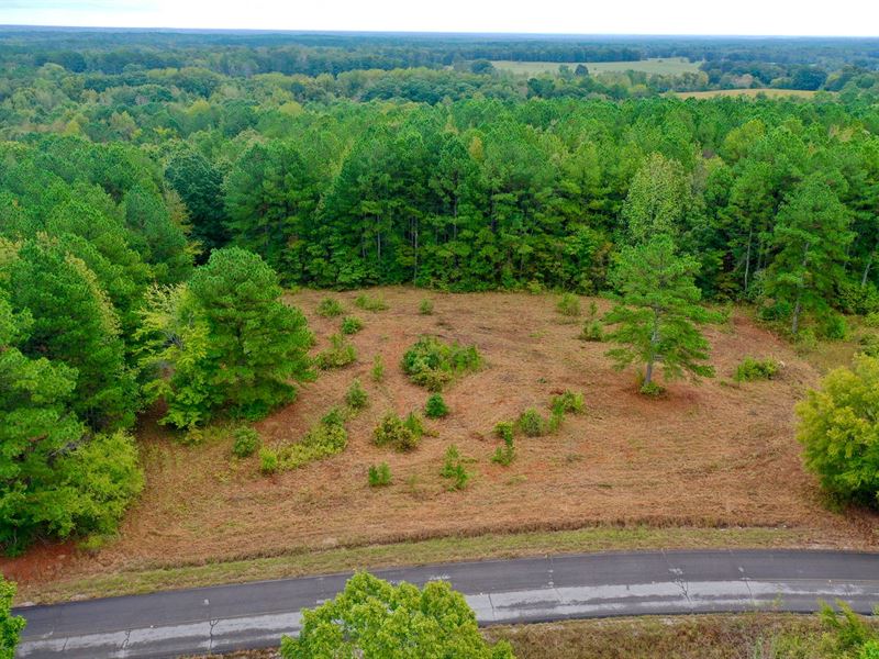 5 Acre Homesite/Mini-Farm : Waterloo : Lauderdale County : Alabama