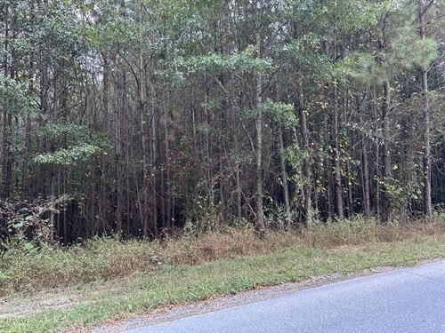 Polk County Opportunity : Aragon : Polk County : Georgia