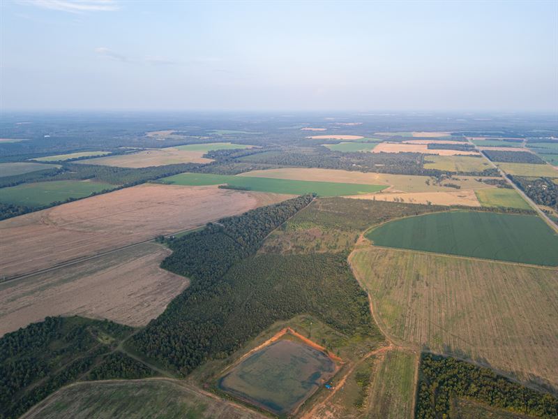 Randolph Sanctuary : Shellman : Randolph County : Georgia