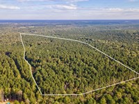 Lower Wirebridge Road Tract : Stephens : Oglethorpe County : Georgia