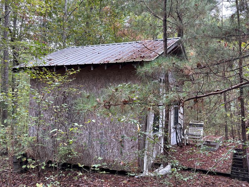 11+/- Acres Neard Red Mountain : Gallant : Saint Clair County : Alabama