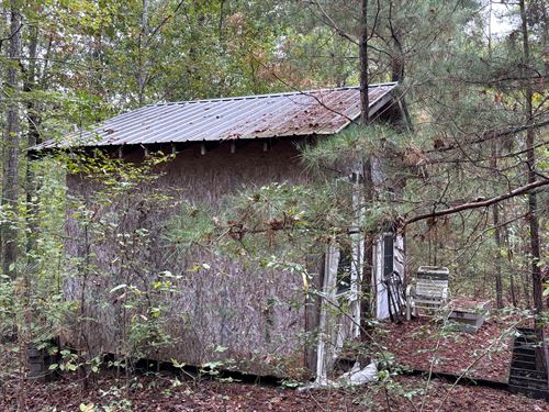 11+/- Acres Neard Red Mountain : Gallant : Saint Clair County : Alabama