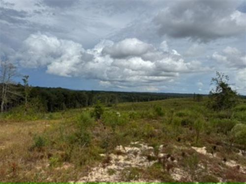 Looking South : Ozark : Dale County : Alabama