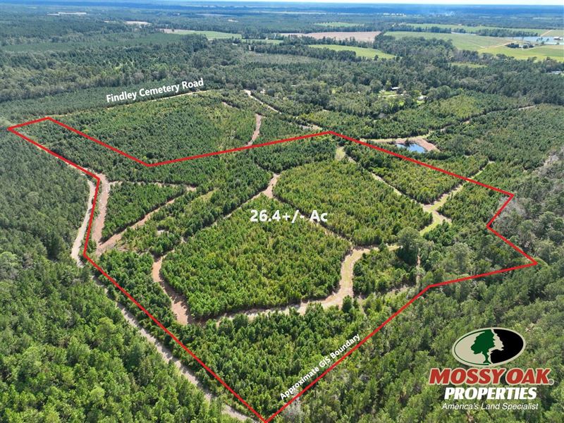 26.4 Ac Land for Sale Findley : Lyons : Toombs County : Georgia