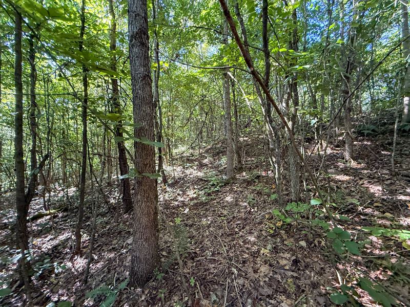 Mudsoc Rd Lot 1 : Patriot : Gallia County : Ohio