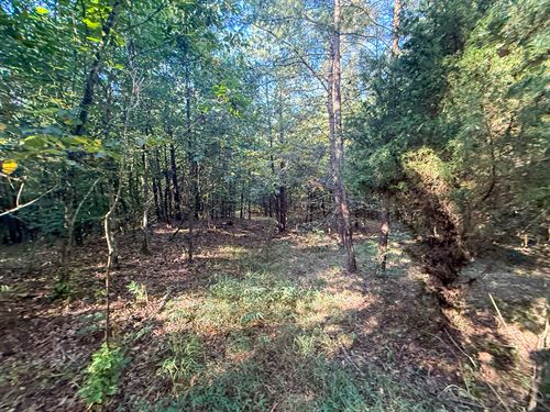 Mudsoc Rd Lot 4 : Patriot : Gallia County : Ohio