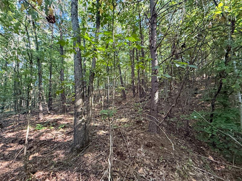 Mudsoc Rd Lot 5 : Patriot : Gallia County : Ohio