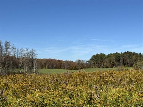 Southern Tier Valley Views : New Berlin : Chenango County : New York