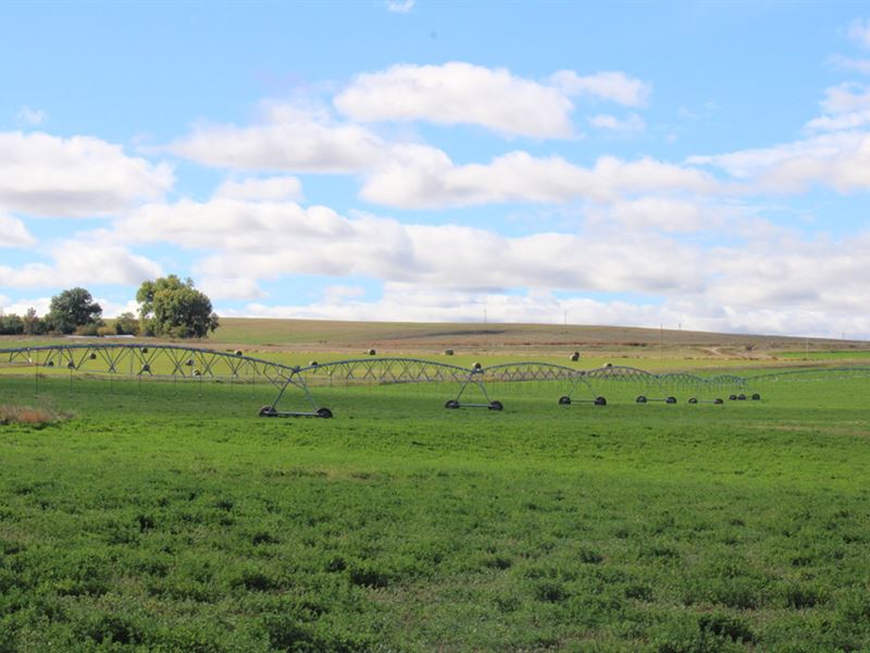 Road 56 Hay Farm : Torrington : Goshen County : Wyoming