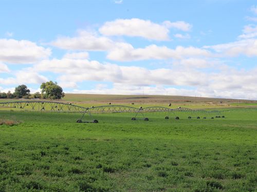Road 56 Hay Farm : Torrington : Goshen County : Wyoming