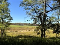 Southern Tier Getaway with Meadows : New Berlin : Chenango County : New York