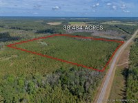 Tract 2 38.484 Acres : Jacksonville : Telfair County : Georgia