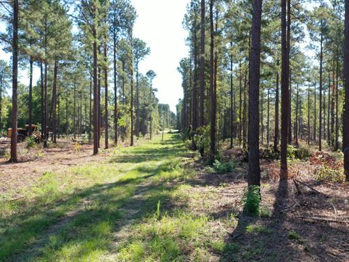 O'quinns Pond Farm, 7.06 Acres : Milledgeville : Baldwin County : Georgia