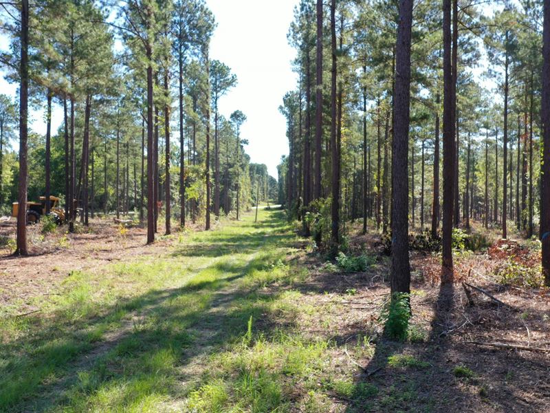 O'quinns Pond Farm, 5.54 Acres : Milledgeville : Baldwin County : Georgia